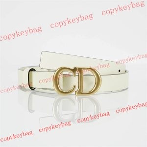 ベルト スーパーコピー ディオール 新作 n級品 激安 - pdanu872170