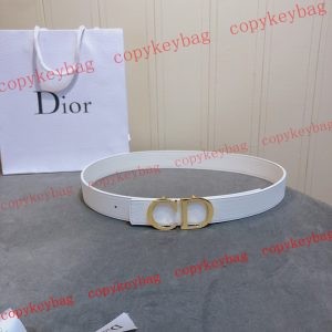 dior ブランドコピー ベルト 代引き 通販 - pdanu872184