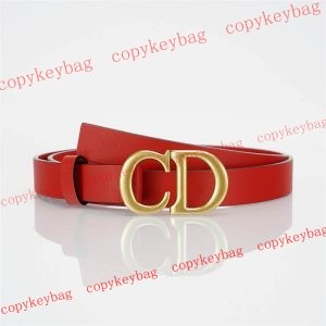 ディオール ブランドコピー ベルト 新作 n級品 通販 - pdanu872202