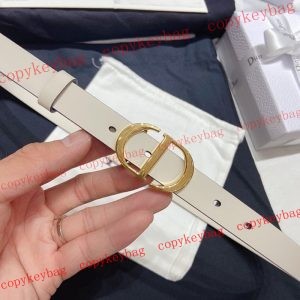 ブランドコピー ベルト ディオール 新作 格安 通販 - pdanu872204