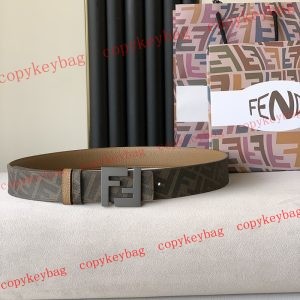 fendi ブランドコピー ベルト 代引き n級品 - pdanu872213