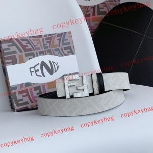 ベルト スーパーコピー フェンディ 新作 人気 代引き 通販 - pdanu872228