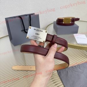 バレンシアガ ブランドコピー ベルト 新作 人気 後払い 偽物 - pdanu872460