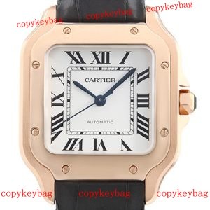cartier スーパーコピー 腕時計 新作 人気 後払い 格安 - srwbn7384