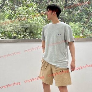 ディオール ブランド 服 スーパーコピー 半袖 - dior Tシャツ 激安n級品偽物 - cokis68059